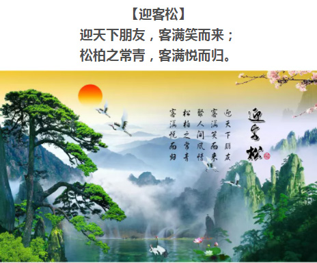 【迎客松】奇松傲立玉屏前,双臂垂迎天下客!